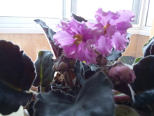 20160617 155531.jpg