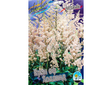 ���� �� �������*