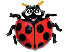 ��������� ��� ���� ������ 14 ����� ������� 27,00.jpg