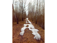 IMG 20170408 125620.jpg