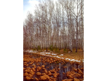 IMG 20170422 112700.jpg