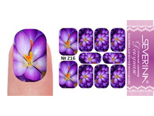 30 ���. - �������� ��� ������ "�������" ���������� ���. 216