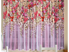 ���� ����