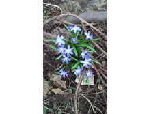 ���������� �������