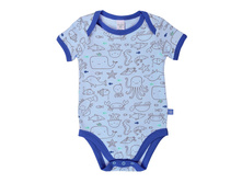 6013 ��������� ���.jpeg