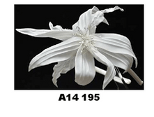 A14 195 ������ �-�� "Trestelle" � ������� 12 ���� 220