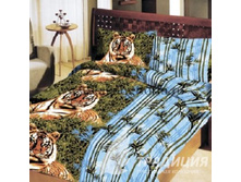 ������� ���� ����