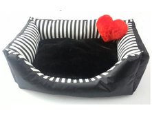 580 ��� ����� � ���������