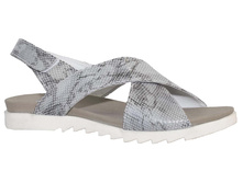 579 �������� ����� � ����� ����