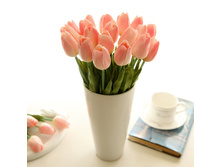 Tulip.jpg
