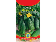 ������ ���� F1