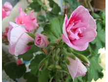 �������? ))