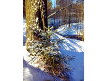 IMG 20170401 085216.jpg