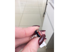 ������ �����