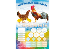 CAL-2017, ������������ ������� ��������� ����� " ��� ������  ���������" ������ 2017 - �����, 285 �.