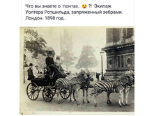 16487227 10211970150272287 6907395673270567169 o.jpg