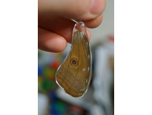 ��.�������