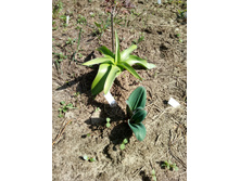 ������������ ����. ��������� � �����������