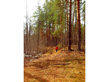 IMG 20170409 121840.jpg