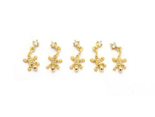 126 ���. - ������������� ��������� "TNL" - ������� ������ �� �������� (1��/��)