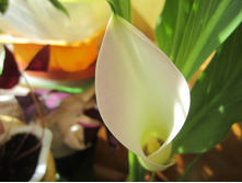 ����� 002.jpg