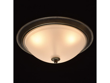 450015503 2150�.jpg