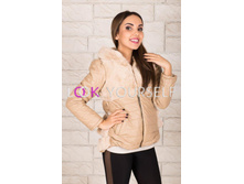 ������ 2, 700�