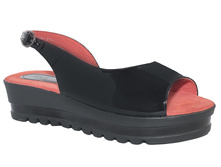 529 ��� ������