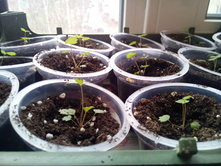 0-02-05-02f83536d9310ee5c2210767eb14f9d70cf0d003def64b26f88347eb081547ef full.jpg