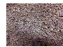 ������ ������� ��������