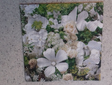 33�33 - 15 ���.