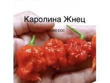 IMG 6901.PNG