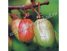 ��������� ��������� ����������.jpg