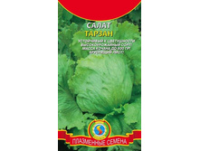 ����� ������ (������)