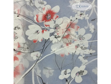 ���� �������-����� ����� 002 �������.jpg