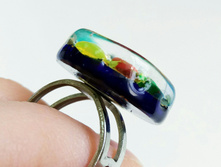 ������ �����