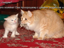 ��� �������. � �� ��� �� �������� � ������ ������� �� �����!