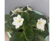 20170422 132159-1.jpg