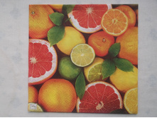 55.jpg ���� ���������