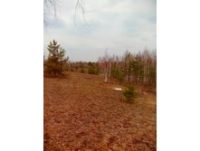 IMG 20170408 132644.jpg