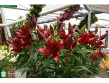 ����� �������� 16/18 1 �� ��-������-29,94.jpg �������� 3��