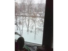 2 ������ 2017