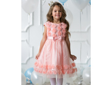 �������� ������ �����, ��� D509, ���� 1827 �.jpg