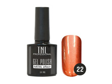 162 ���. - ������� ����-��� "TNL - Metal" ?22- �������� (10 ��.)