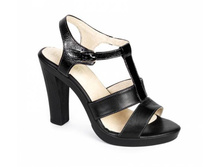 36�. � ���% 1416 ���