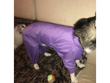 �������� �����.JPG