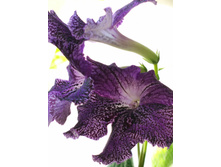 IMG 20170401 100811.jpg