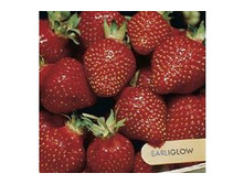 ��������� ��������, 50���..jpg