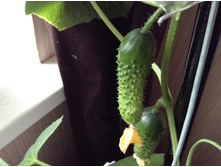 ��������� ������ �� �����������...