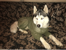 ����� ����� �����.JPG